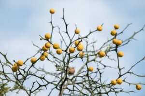 遅刻したときは何時までに連絡すればいい？