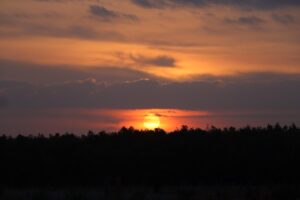 午後出社の際に使える効果的な挨拶は？