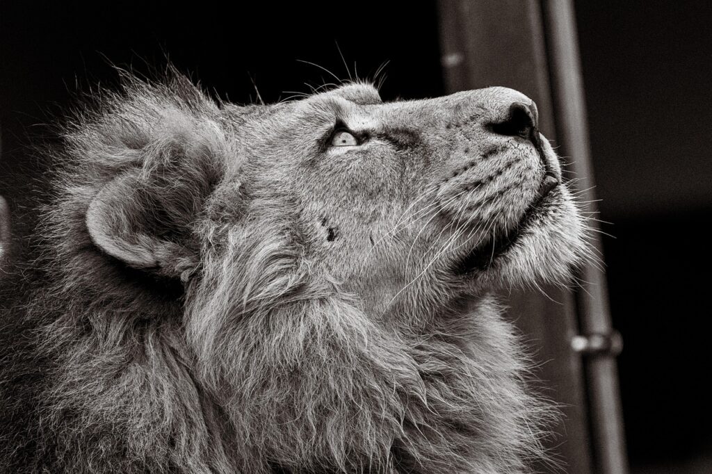 転職者が社会人として使える自己紹介の例文は？