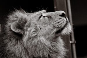 転職者が社会人として使える自己紹介の例文は？