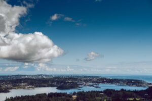 bcとccの違いについて詳しく解説しますか？