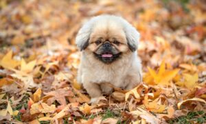 既読スルーされたらどう対処すべきか？