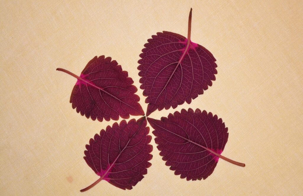 留守電の残し方に最適な例文は？