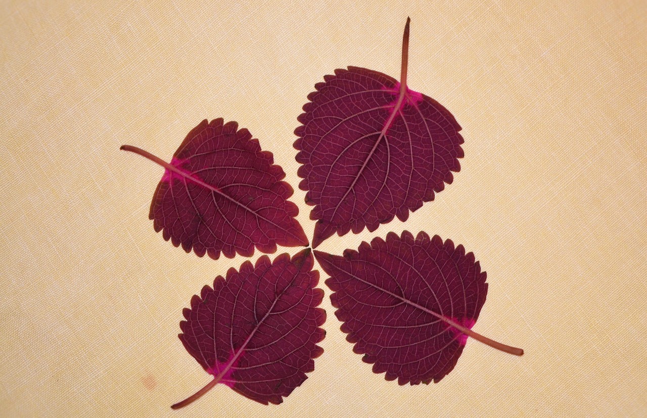 留守電の残し方に最適な例文は？