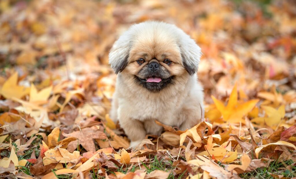 謙譲語とは何か、具体的な使い方と例を教えてください？