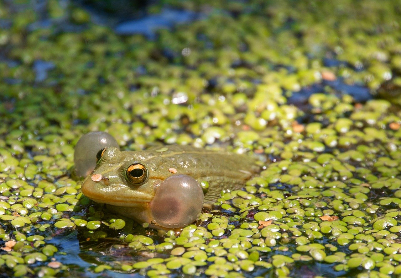 上司の呼び方における敬称の違いとは？